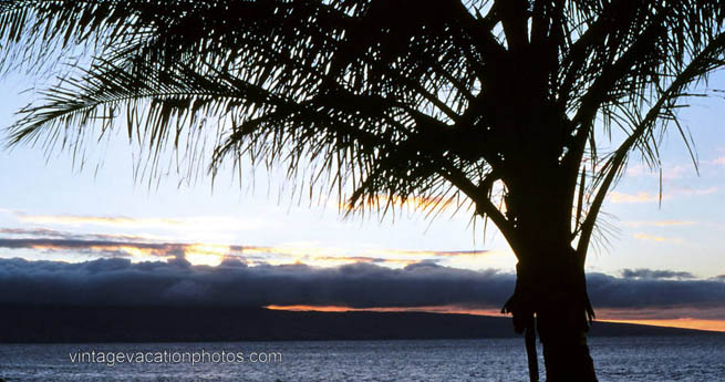 Hawaii, 1979